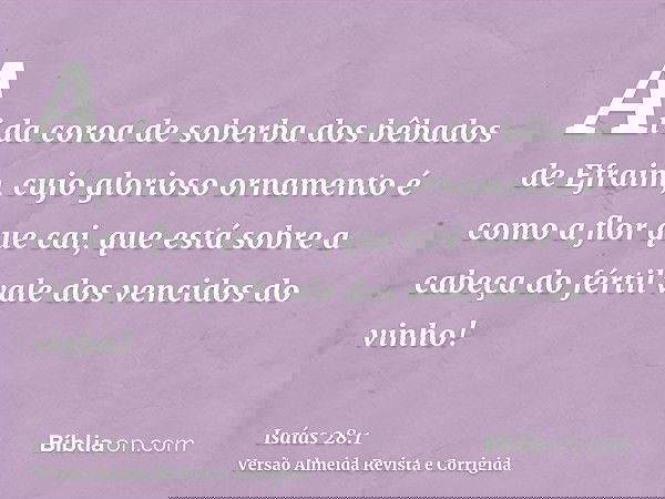Ai da coroa de soberba dos bêbados de Efraim, cujo glorioso ornamento é como a flor que cai, que está sobre a cabeça do fértil vale dos vencidos do vinho!