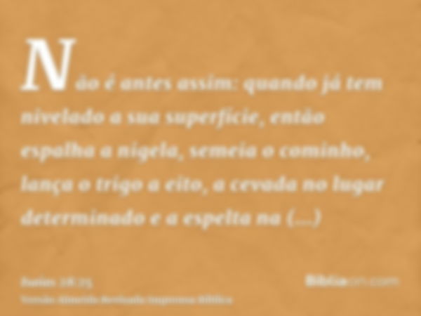 Não é antes assim: quando já tem nivelado a sua superfície, então espalha a nigela, semeia o cominho, lança o trigo a eito, a cevada no lugar determinado e a es