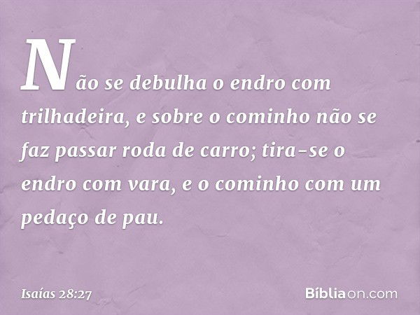 Não se debulha o endro com trilhadeira,
e sobre o cominho não se faz passar
roda de carro;
tira-se o endro com vara,
e o cominho com um pedaço de pau. -- Isaías