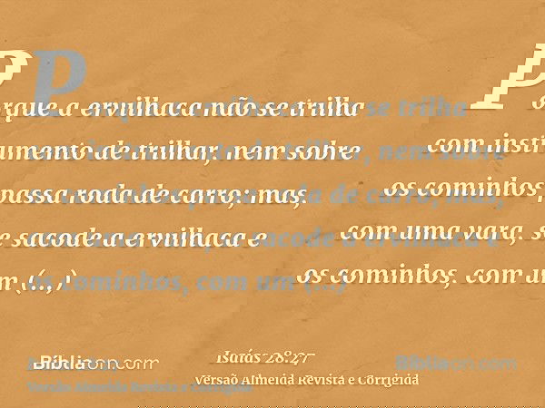 Porque a ervilhaca não se trilha com instrumento de trilhar, nem sobre os cominhos passa roda de carro; mas, com uma vara, se sacode a ervilhaca e os cominhos,