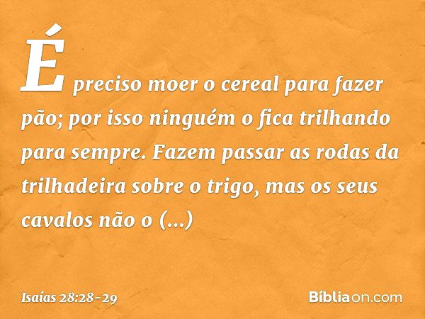 É preciso moer o cereal para fazer pão;
por isso ninguém o fica
trilhando para sempre.
Fazem passar as rodas da trilhadeira
sobre o trigo,
mas os seus cavalos n