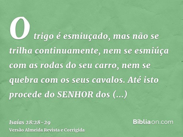 O trigo é esmiuçado, mas não se trilha continuamente, nem se esmiúça com as rodas do seu carro, nem se quebra com os seus cavalos.Até isto procede do SENHOR dos