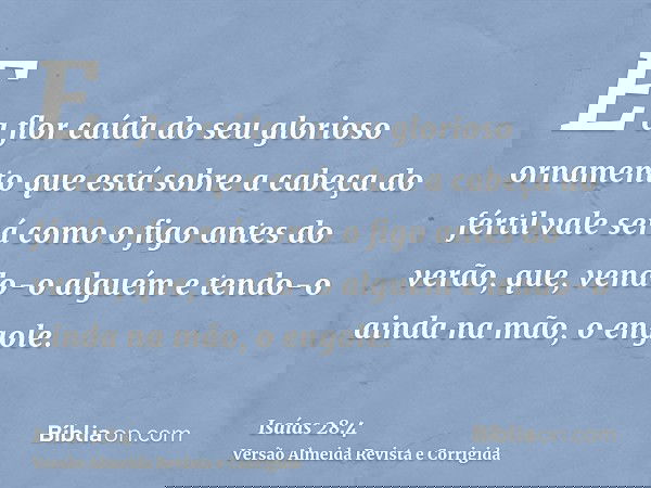 E a flor caída do seu glorioso ornamento que está sobre a cabeça do fértil vale será como o figo antes do verão, que, vendo-o alguém e tendo-o ainda na mão, o e
