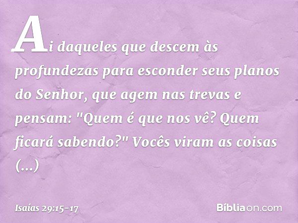 Ai daqueles que descem às profundezas
para esconder seus planos do Senhor,
que agem nas trevas e pensam:
"Quem é que nos vê?
Quem ficará sabendo?" Vocês viram a