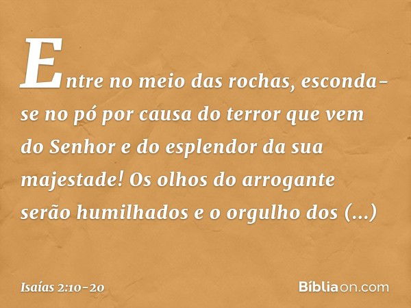 Entre no meio das rochas,
esconda-se no pó
por causa do terror que vem do Senhor
e do esplendor da sua majestade! Os olhos do arrogante serão humilhados
e o org