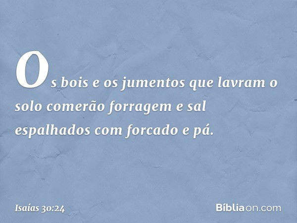 Os bois e os jumentos que lavram o solo comerão forragem e sal espalhados com forcado e pá. -- Isaías 30:24