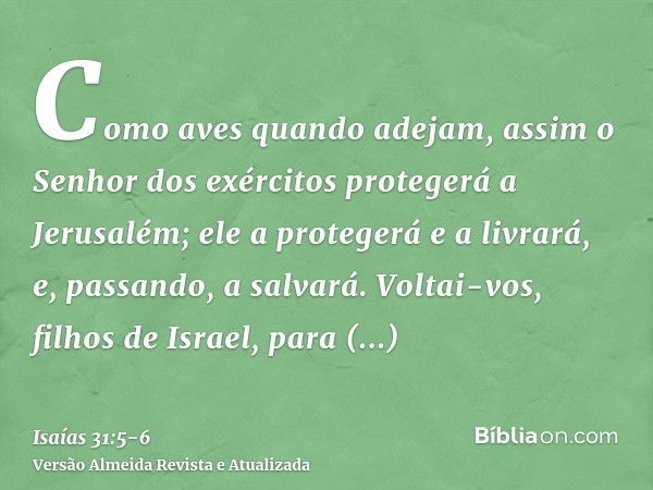 Como aves quando adejam, assim o Senhor dos exércitos protegerá a Jerusalém; ele a protegerá e a livrará, e, passando, a salvará.Voltai-vos, filhos de Israel, p