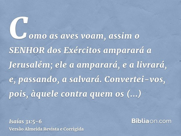 Como as aves voam, assim o SENHOR dos Exércitos amparará a Jerusalém; ele a amparará, e a livrará, e, passando, a salvará.Convertei-vos, pois, àquele contra que