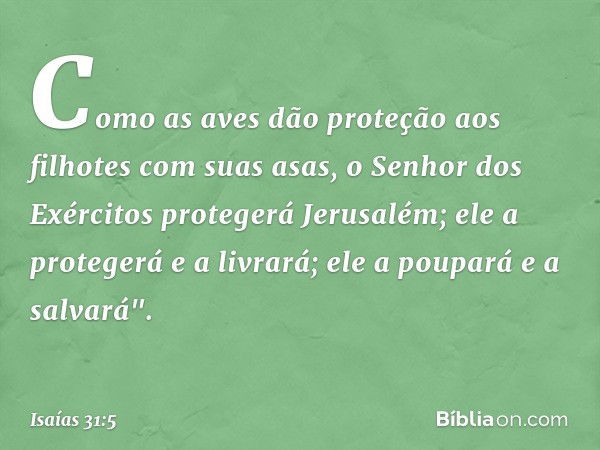 Como as aves dão proteção aos filhotes
com suas asas,
o Senhor dos Exércitos
protegerá Jerusalém;
ele a protegerá e a livrará;
ele a poupará e a salvará". -- Is