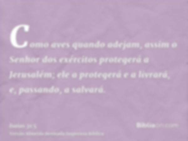 Como aves quando adejam, assim o Senhor dos exércitos protegerá a Jerusalém; ele a protegerá e a livrará, e, passando, a salvará.