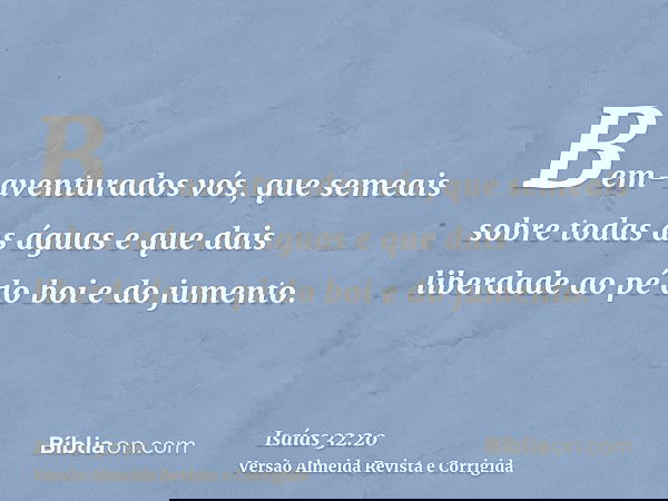 Bem-aventurados vós, que semeais sobre todas as águas e que dais liberdade ao pé do boi e do jumento.