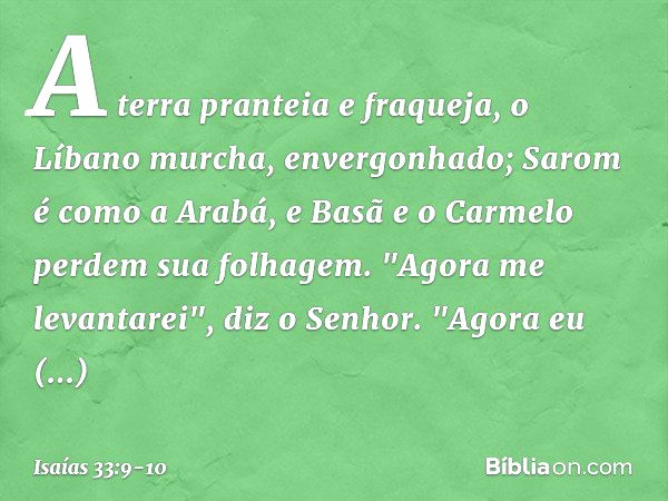 A terra pranteia e fraqueja,
o Líbano murcha, envergonhado;
Sarom é como a Arabá,
e Basã e o Carmelo perdem sua folhagem. "Agora me levantarei", diz o ­Senhor.
