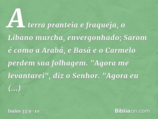 A terra pranteia e fraqueja,
o Líbano murcha, envergonhado;
Sarom é como a Arabá,
e Basã e o Carmelo perdem sua folhagem. "Agora me levantarei", diz o ­Senhor.
