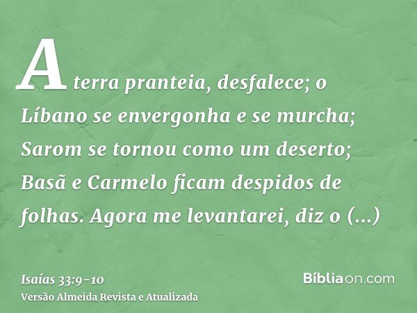 A terra pranteia, desfalece; o Líbano se envergonha e se murcha; Sarom se tornou como um deserto; Basã e Carmelo ficam despidos de folhas.Agora me levantarei, d