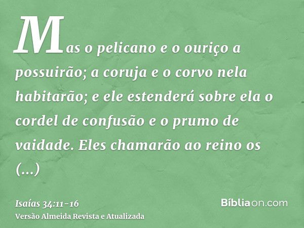 Mas o pelicano e o ouriço a possuirão; a coruja e o corvo nela habitarão; e ele estenderá sobre ela o cordel de confusão e o prumo de vaidade.Eles chamarão ao r