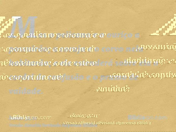 Mas o pelicano e o ouriço a possuirão; a coruja e o corvo nela habitarão; e ele estenderá sobre ela o cordel de confusão e o prumo de vaidade.