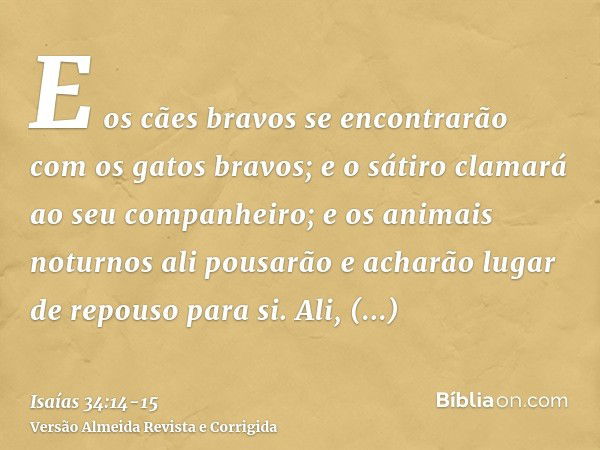 E os cães bravos se encontrarão com os gatos bravos; e o sátiro clamará ao seu companheiro; e os animais noturnos ali pousarão e acharão lugar de repouso para s