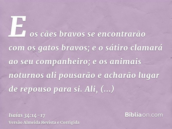 E os cães bravos se encontrarão com os gatos bravos; e o sátiro clamará ao seu companheiro; e os animais noturnos ali pousarão e acharão lugar de repouso para s