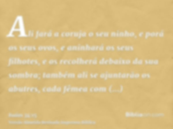 Ali fará a coruja o seu ninho, e porá os seus ovos, e aninhará os seus filhotes, e os recolherá debaixo da sua sombra; também ali se ajuntarão os abutres, cada 