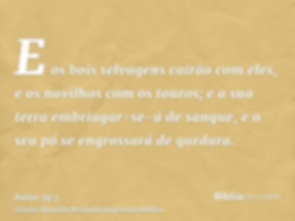 E os bois selvagens cairão com eles, e os novilhos com os touros; e a sua terra embriagar-se-á de sangue, e o seu pó se engrossará de gordura.