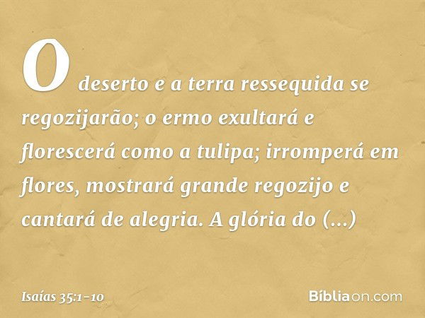 O deserto e a terra ressequida
se regozijarão;
o ermo exultará e florescerá
como a tulipa; irromperá em flores,
mostrará grande regozijo
e cantará de alegria.
A