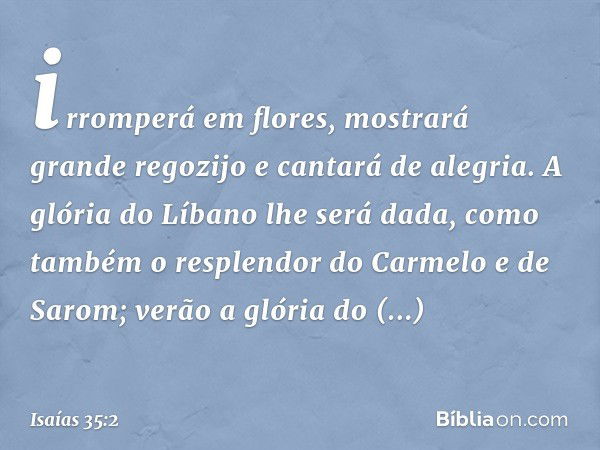 irromperá em flores,
mostrará grande regozijo
e cantará de alegria.
A glória do Líbano lhe será dada,
como também o resplendor do Carmelo
e de Sarom;
verão a gl