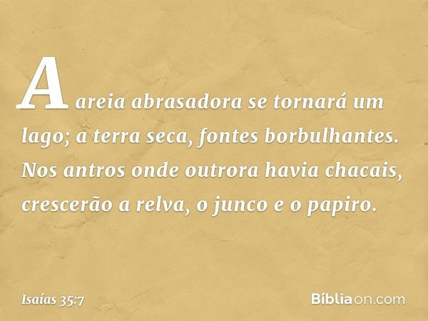 A areia abrasadora se tornará um lago;
a terra seca, fontes borbulhantes.
Nos antros onde outrora havia chacais,
crescerão a relva, o junco e o papiro. -- Isaía