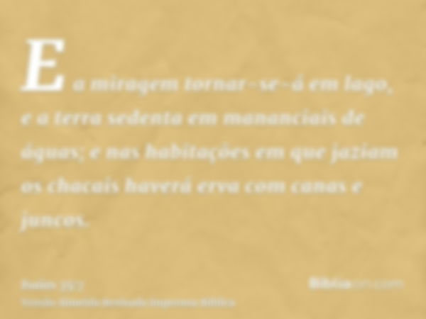 E a miragem tornar-se-á em lago, e a terra sedenta em mananciais de águas; e nas habitações em que jaziam os chacais haverá erva com canas e juncos.