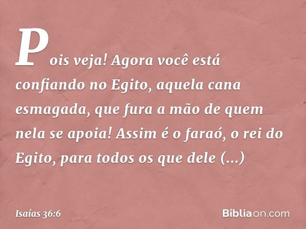 Pois veja! Agora você está confiando no Egito, aquela cana esmagada, que fura a mão de quem nela se apoia! Assim é o faraó, o rei do Egito, para todos os que de