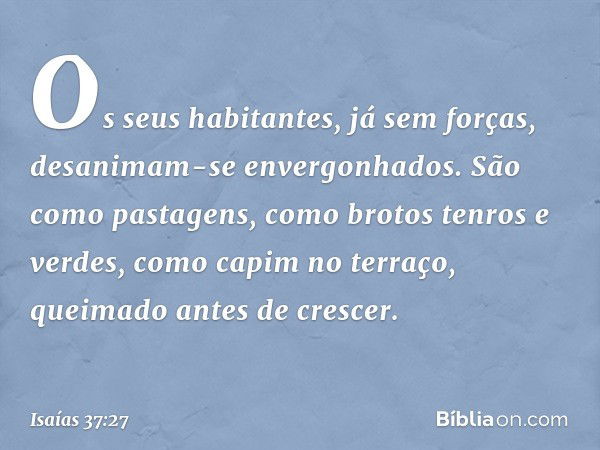 Os seus habitantes, já sem forças,
desanimam-se envergonhados.
São como pastagens,
como brotos tenros e verdes,
como capim no terraço,
queimado antes de crescer