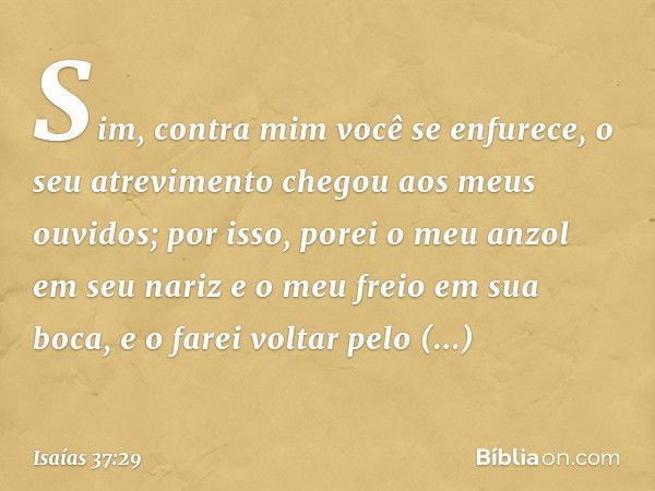 Sim, contra mim você se enfurece,
o seu atrevimento chegou
aos meus ouvidos;
por isso, porei o meu anzol em seu nariz
e o meu freio em sua boca,
e o farei volta