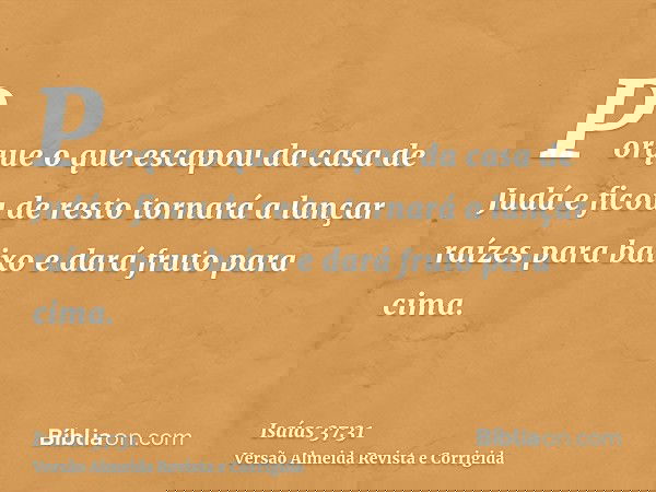 Porque o que escapou da casa de Judá e ficou de resto tornará a lançar raízes para baixo e dará fruto para cima.