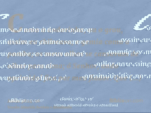 Como a andorinha, ou o grou, assim eu chilreava; e gemia como a pomba; os meus olhos se cansavam de olhar para cima; ó Senhor, ando oprimido! fica por meu fiado