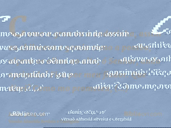 Como o grou ou a andorinha, assim eu chilreava e gemia como a pomba; alçava os olhos ao alto; ó Senhor, ando oprimido! Fica por meu fiador.Que direi? Como mo pr