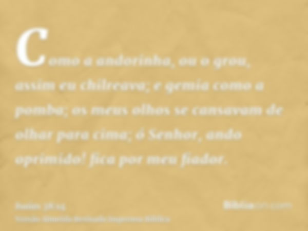 Como a andorinha, ou o grou, assim eu chilreava; e gemia como a pomba; os meus olhos se cansavam de olhar para cima; ó Senhor, ando oprimido! fica por meu fiado