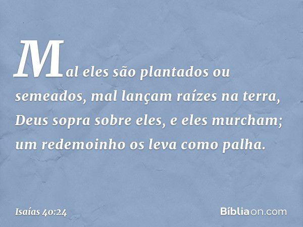 Mal eles são plantados ou semeados,
mal lançam raízes na terra,
Deus sopra sobre eles, e eles murcham;
um redemoinho os leva como palha. -- Isaías 40:24