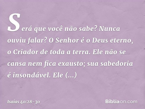 Será que você não sabe?
Nunca ouviu falar?
O Senhor é o Deus eterno,
o Criador de toda a terra.
Ele não se cansa nem fica exausto;
sua sabedoria é insondável. E