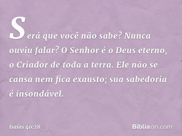 Será que você não sabe?
Nunca ouviu falar?
O Senhor é o Deus eterno,
o Criador de toda a terra.
Ele não se cansa nem fica exausto;
sua sabedoria é insondável. -