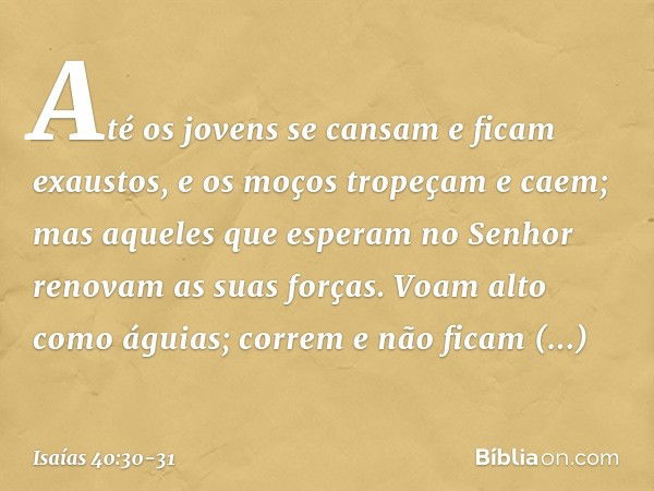 Até os jovens se cansam
e ficam exaustos,
e os moços tropeçam e caem; mas aqueles que esperam no Senhor
renovam as suas forças.
Voam alto como águias;
correm e 