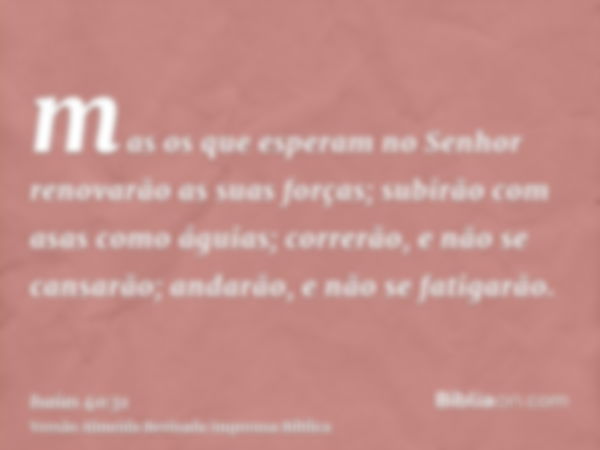 mas os que esperam no Senhor renovarão as suas forças; subirão com asas como águias; correrão, e não se cansarão; andarão, e não se fatigarão.