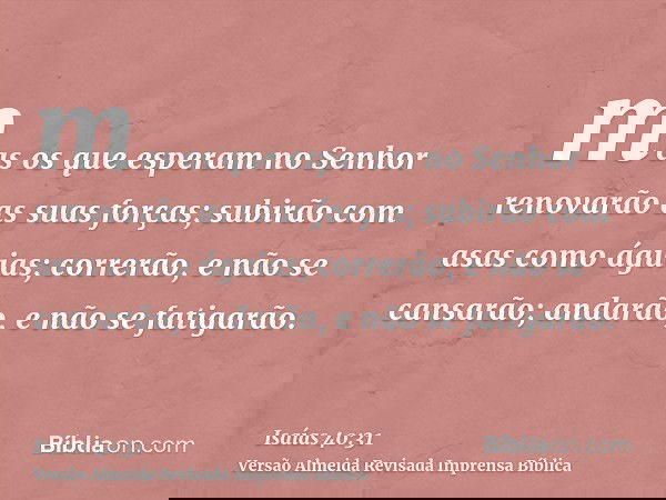 mas os que esperam no Senhor renovarão as suas forças; subirão com asas como águias; correrão, e não se cansarão; andarão, e não se fatigarão.