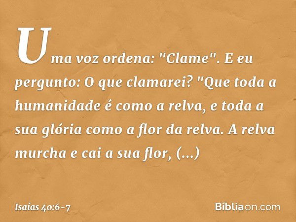 Uma voz ordena: "Clame".
E eu pergunto: O que clamarei?
"Que toda a humanidade é como a relva,
e toda a sua glória
como a flor da relva. A relva murcha e cai a 