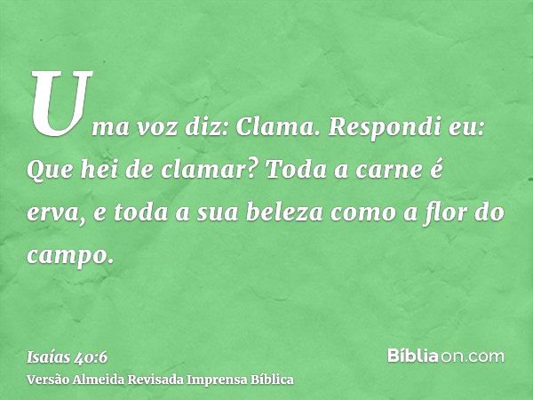 40 Versículos da Bíblia sobre Paz 