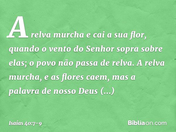 A relva murcha e cai a sua flor,
quando o vento do Senhor
sopra sobre elas;
o povo não passa de relva. A relva murcha, e as flores caem,
mas a palavra de nosso 