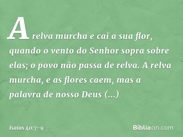 A relva murcha e cai a sua flor,
quando o vento do Senhor
sopra sobre elas;
o povo não passa de relva. A relva murcha, e as flores caem,
mas a palavra de nosso 