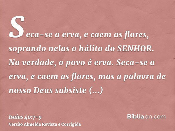 Seca-se a erva, e caem as flores, soprando nelas o hálito do SENHOR. Na verdade, o povo é erva.Seca-se a erva, e caem as flores, mas a palavra de nosso Deus sub