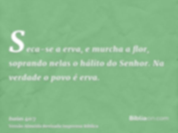 Seca-se a erva, e murcha a flor, soprando nelas o hálito do Senhor. Na verdade o povo é erva.