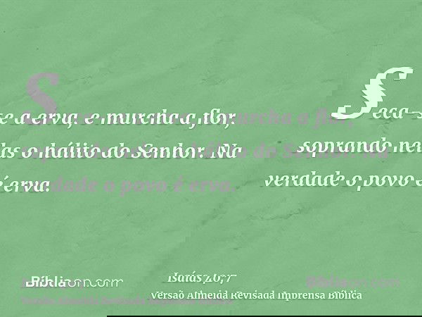 Seca-se a erva, e murcha a flor, soprando nelas o hálito do Senhor. Na verdade o povo é erva.