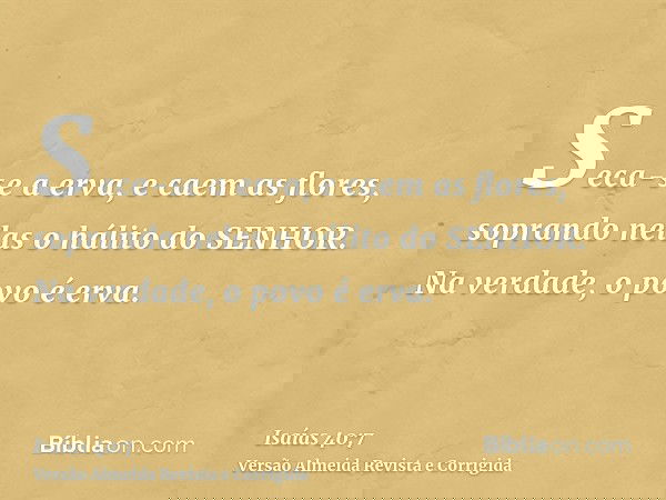 Seca-se a erva, e caem as flores, soprando nelas o hálito do SENHOR. Na verdade, o povo é erva.