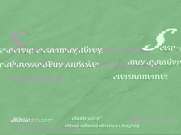 Seca-se a erva, e caem as flores, mas a palavra de nosso Deus subsiste eternamente.